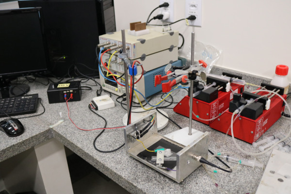 Equipamento de eletroforese híbrido (homemade) com detecção eletroquímica